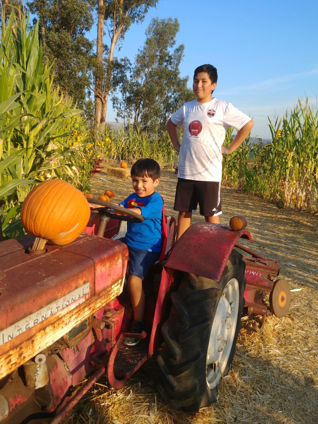 Picking Pumpkins 2019